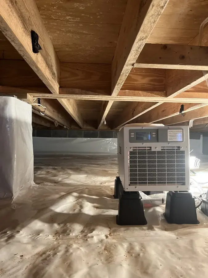 Air movers drying a Johnston County floor
