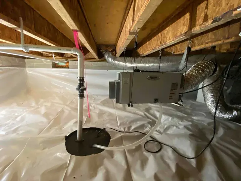 A wall opened to dry the cavity
